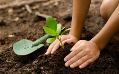 Educating Children on the Importance of Mother Nature